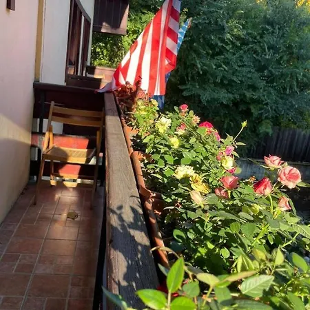 Guest house Foisor Busteni