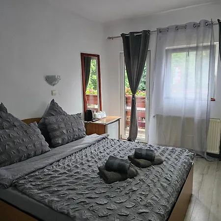 Guest house Foisor *