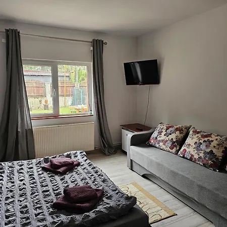 Foisor Guest house