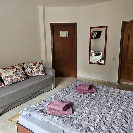 Guest house Foisor
