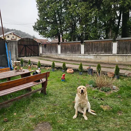 Foisor Guest house Busteni